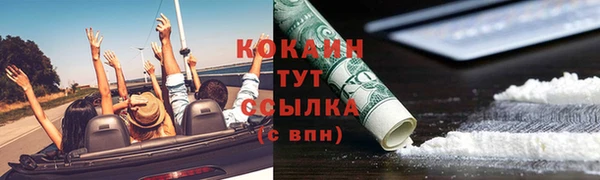 твердый Арсеньев