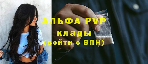 твердый Арсеньев