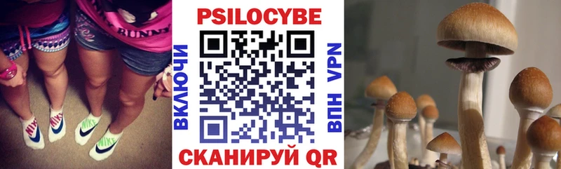 Галлюциногенные грибы Magic Shrooms  Купить закладки  Ликино-Дулёво 